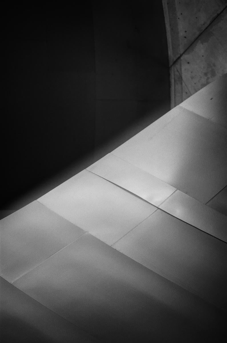 Disney Concert Hall LA Phil Architecture Panel Photograph jcnerio photography